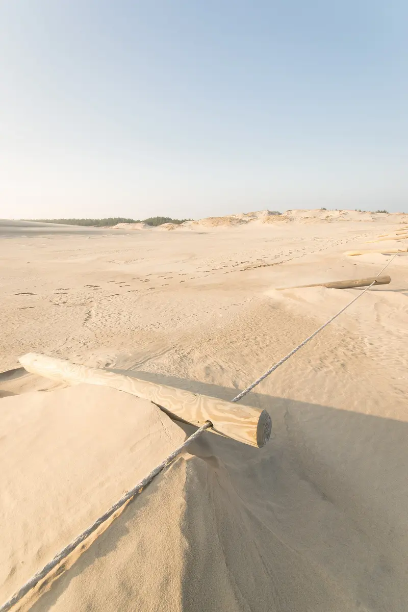 Łącka Dune (Wydma Łącka)