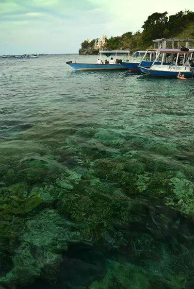 Pemuteran und Menjangan