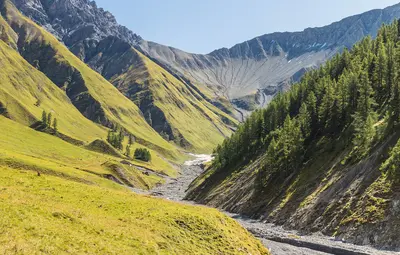 Schweizerischer Nationalpark
