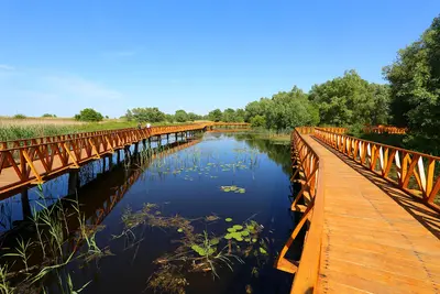 Naturpark Kopački rit