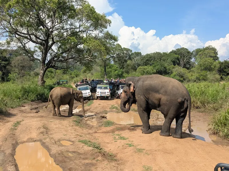Hurulu Eco Park