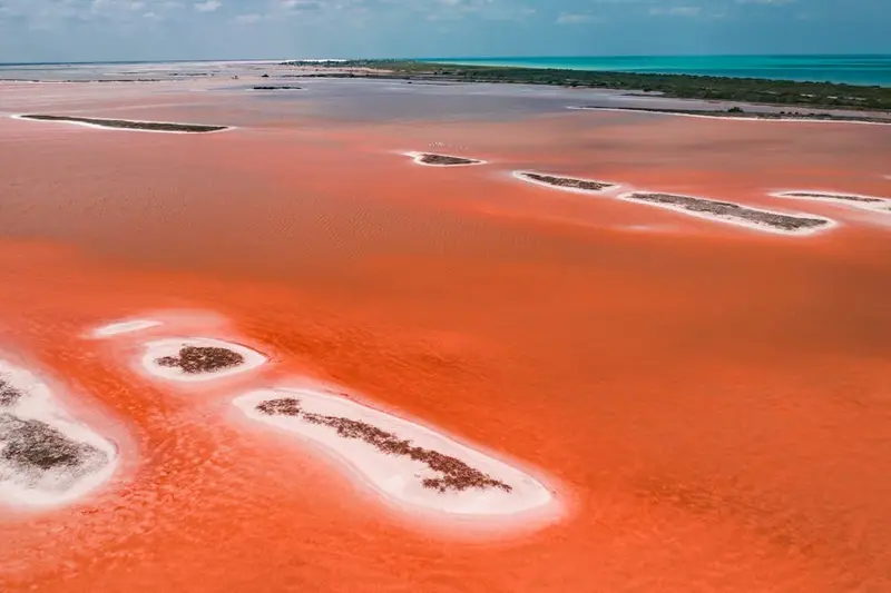 The Red Desert