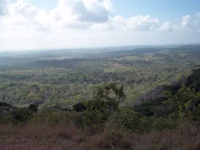 Shimba Hills National Reserve