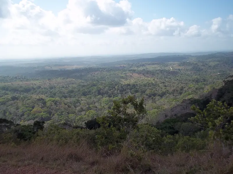 Shimba Hills National Reserve