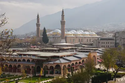 Bursa