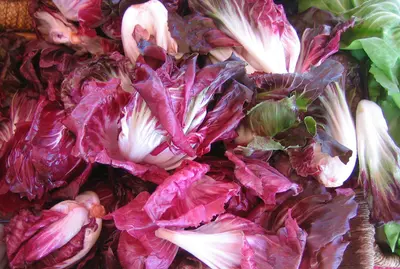 Farmers Market
