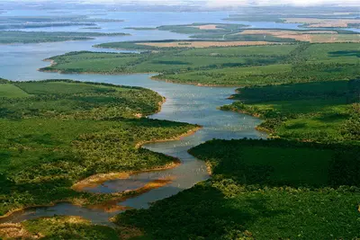 Esteros del Iberá