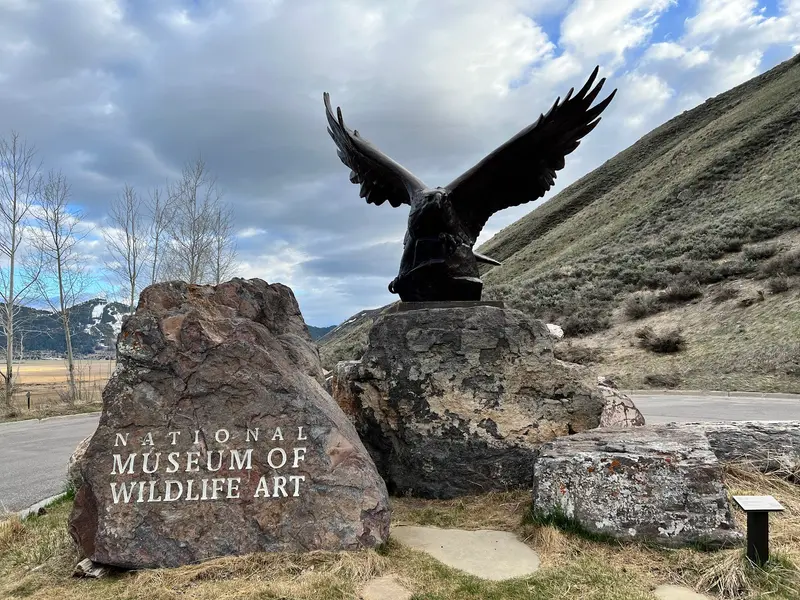 National Museum of Wildlife Art
