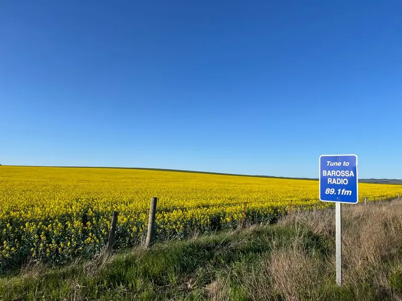 Barossa Valley
