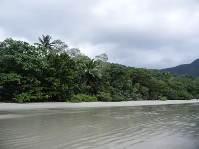 Daintree National Park