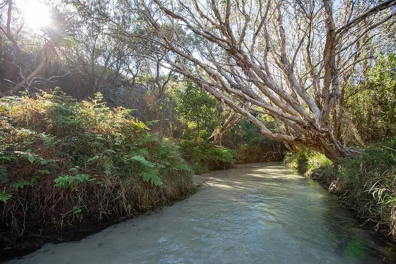 Eli Creek