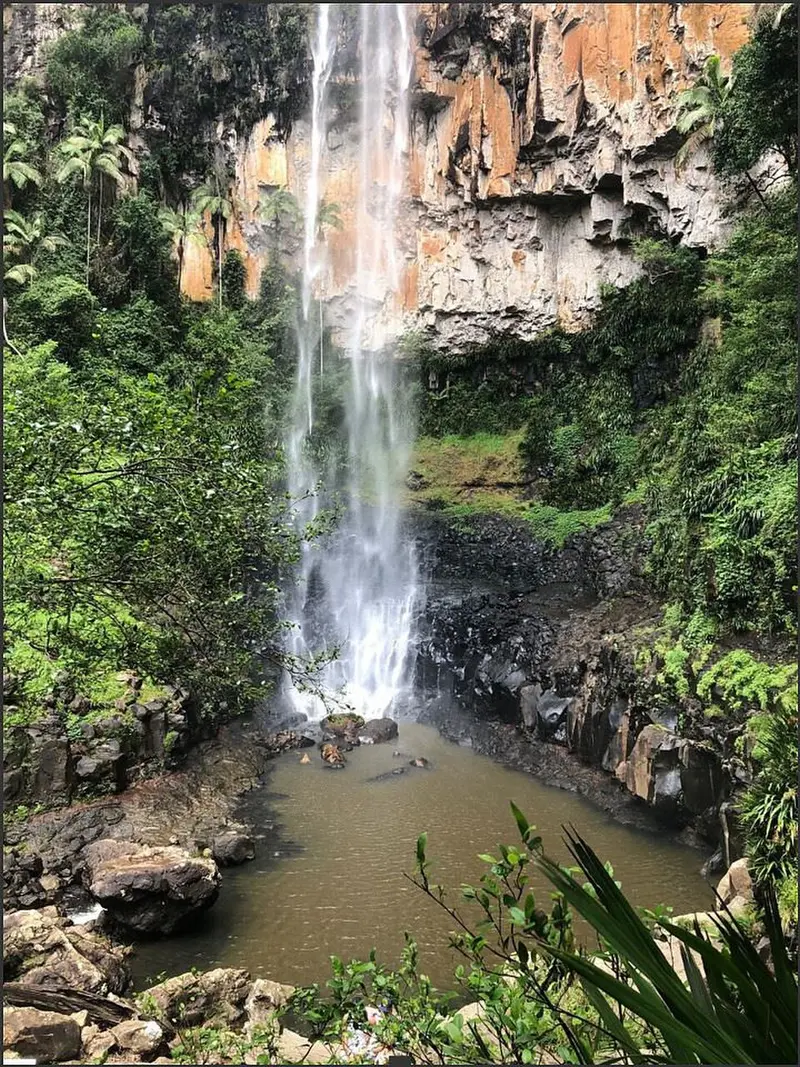Springbrook Nationalpark