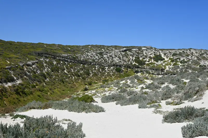 Seal Bay Conservation Park