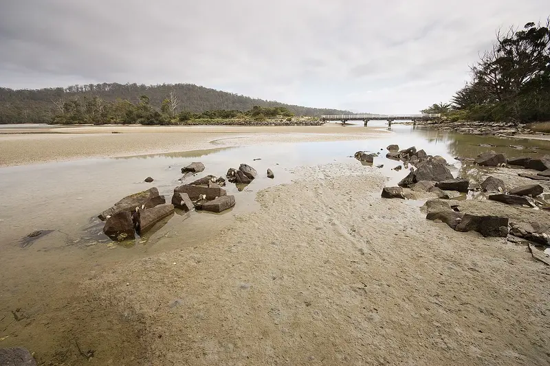 Cockle Creek