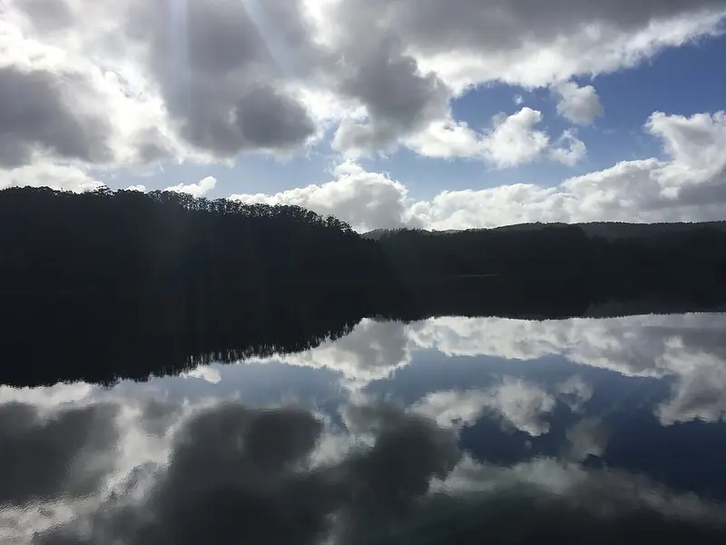 Gordon River
