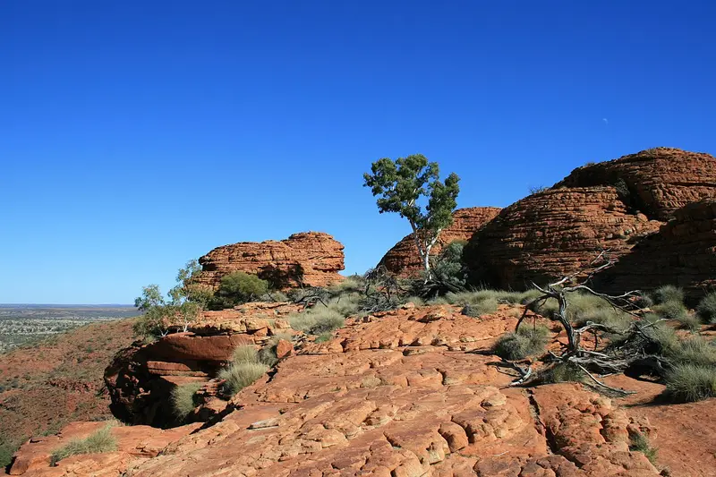 Kings Canyon Rim Walk