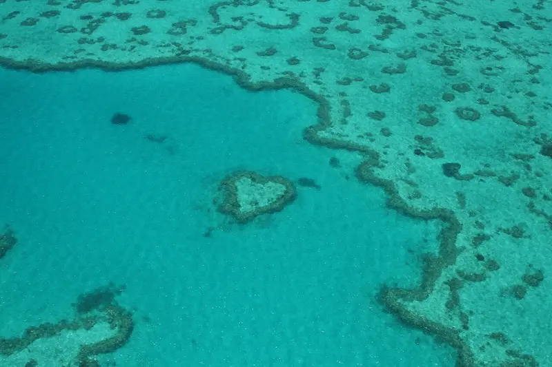 Heart Reef