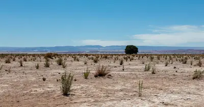 Atacama-Wüste