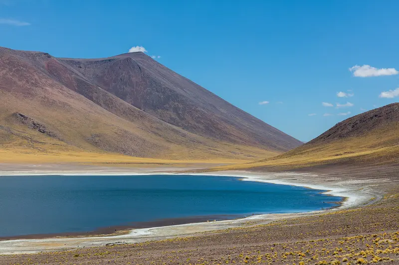 Miscanti and Miñiques Lagoons