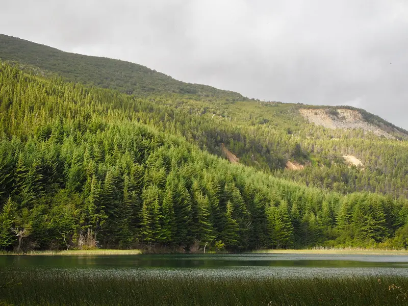 Reserva Nacional Coyhaique
