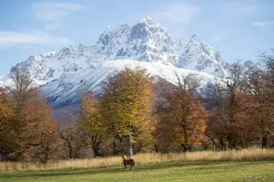 Coyhaique