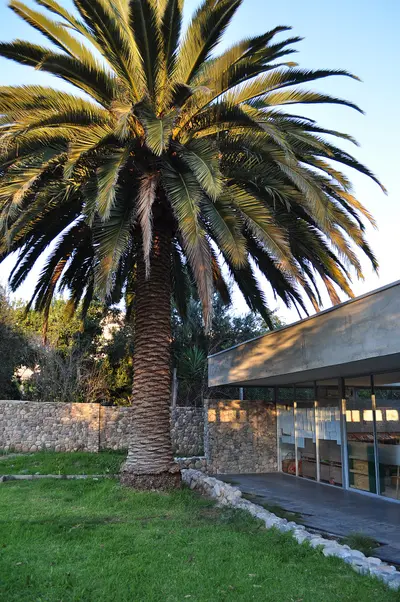 Montegrande