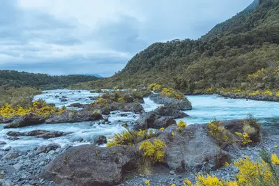 National Park Vicente Pérez Rosales