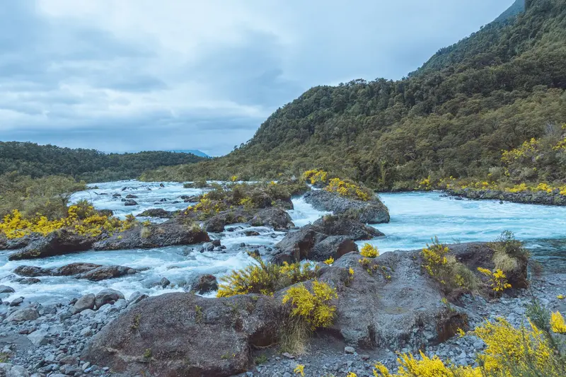 National Park Vicente Pérez Rosales