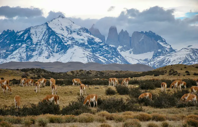 Parque Nacional Torres del Paine
