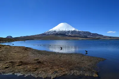 Parque Nacional Lauca
