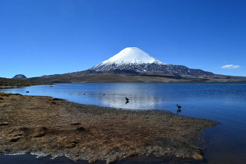 Parque Nacional Lauca