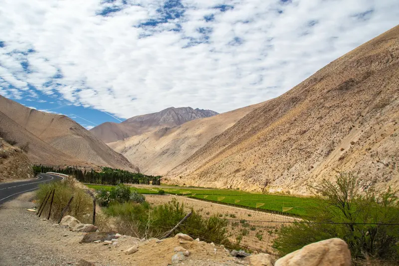 Pisco Elqui
