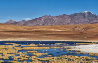 Salar de Atacama
