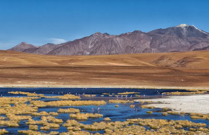 Salar de Atacama