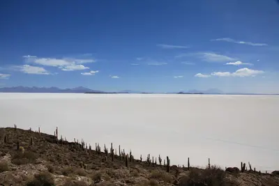 Salar de Surire