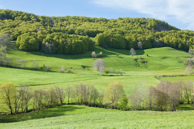 Clermont-Ferrand
