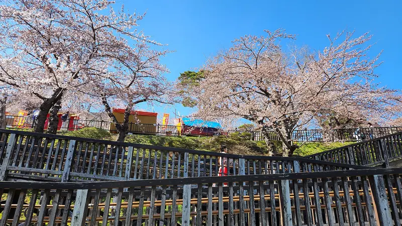 Hakodate Park