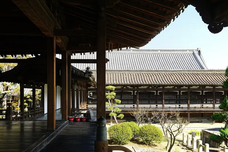Kameyama Hontokuji temple