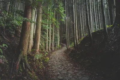 Japanische Alpen