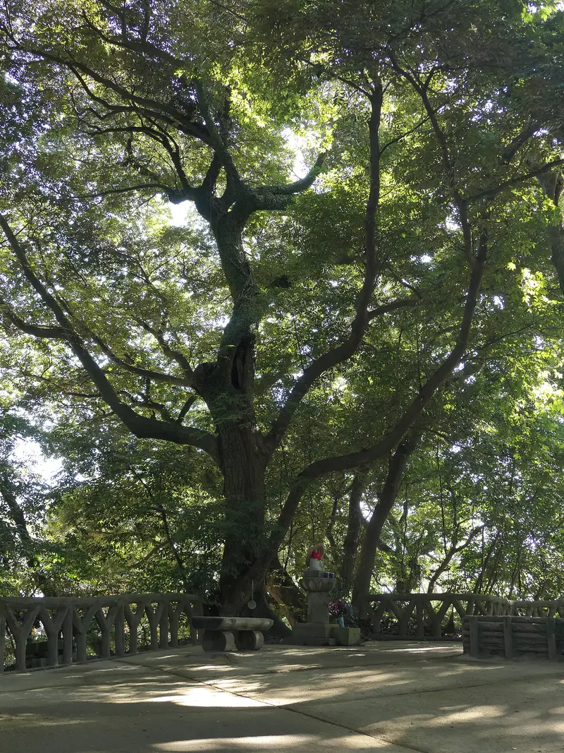 Shiroyama Park Observation Deck