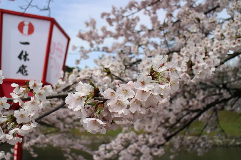 Burg Hikone