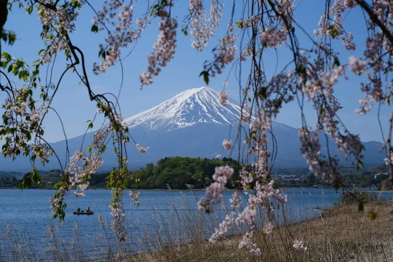 Mount Fuji