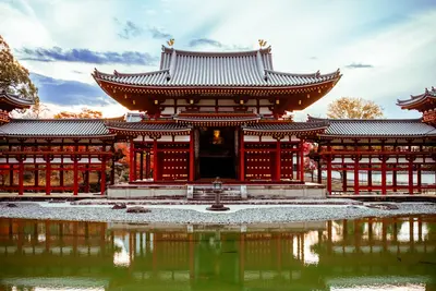 Uji