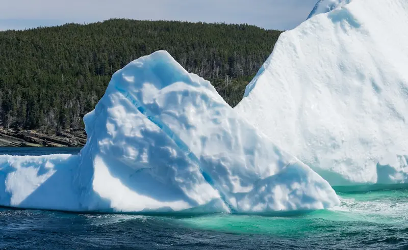 Newfoundland and Labrador