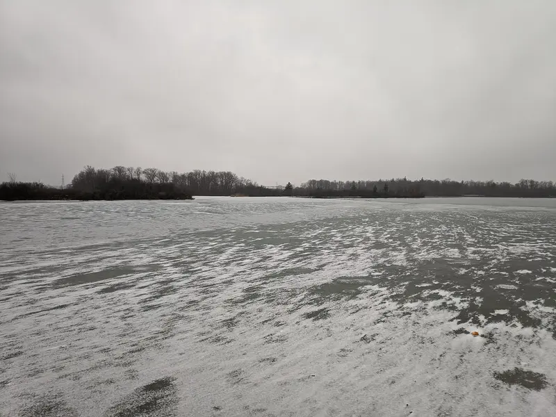 Mel Swart Lake Gibson Conservation Park