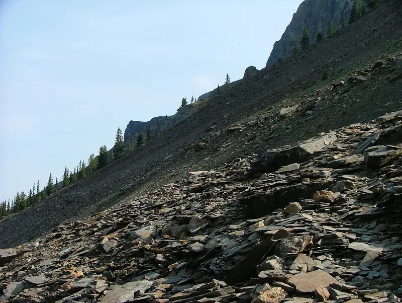 Mt. Stephen Trilobite Beds