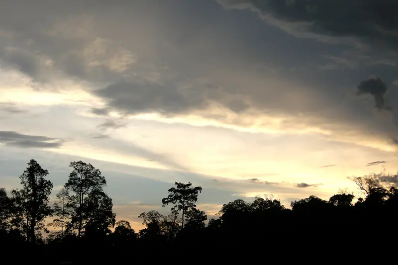 Taman Negara National Park