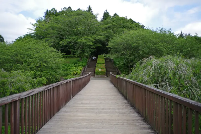Canopy Walkway (Jambatan Kanopi)