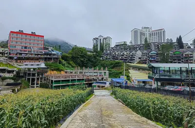 Kea Farm
