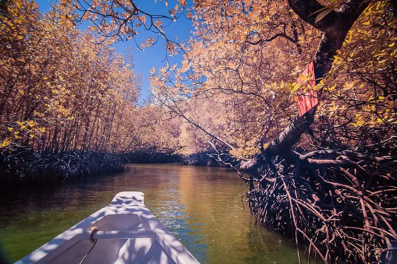 Kilim-Karst-Geoforest-Park
